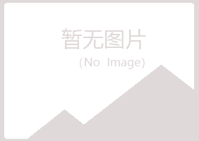 上甘岭区山柳咨询有限公司